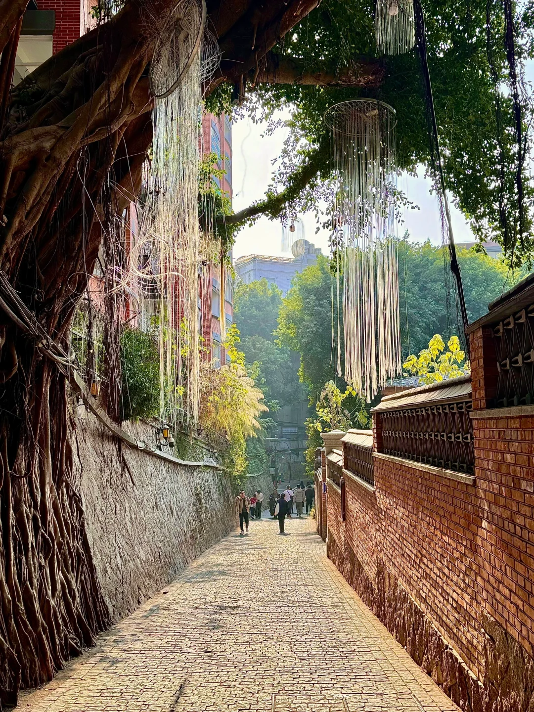 我宣布！！这才是福州蕞舒服的Citywalk路线🥹