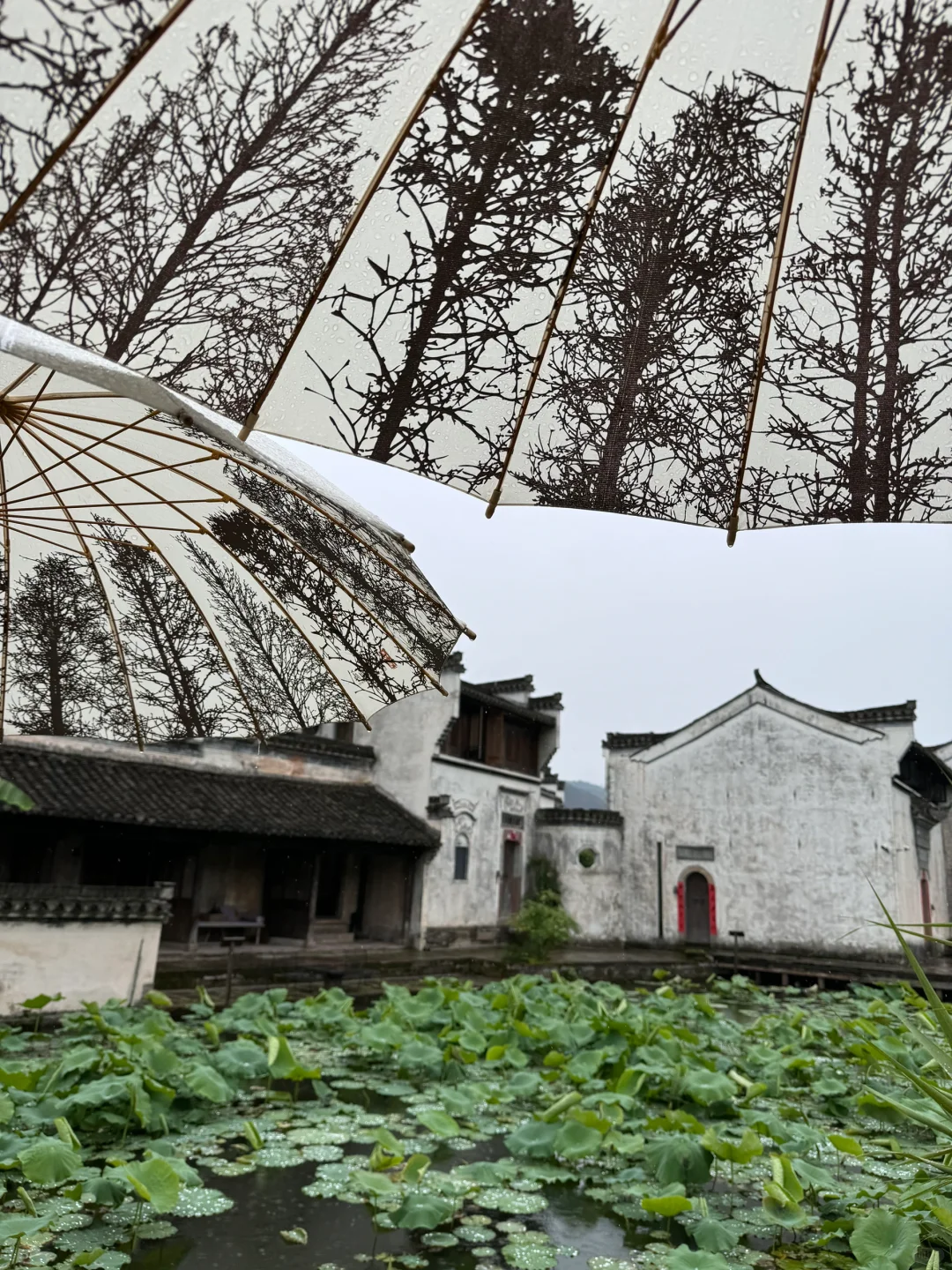 被低估的安徽旅游📍人在画中游～