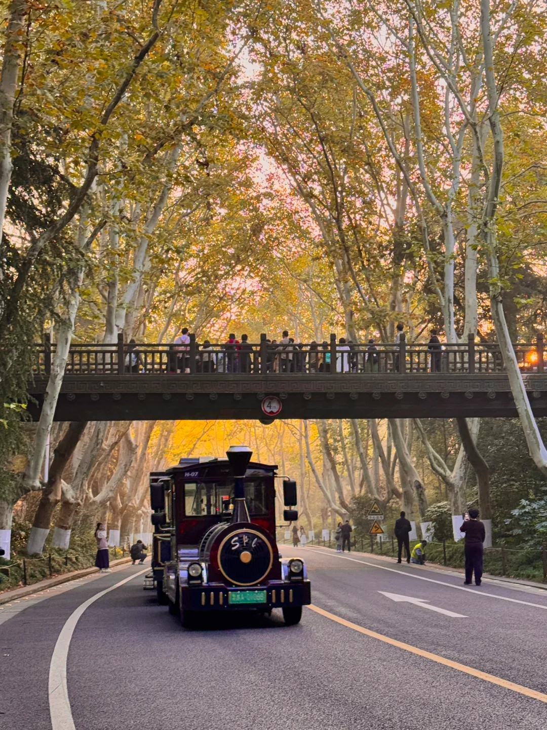 为了这1️⃣4️⃣张图,我特意来了趟南京