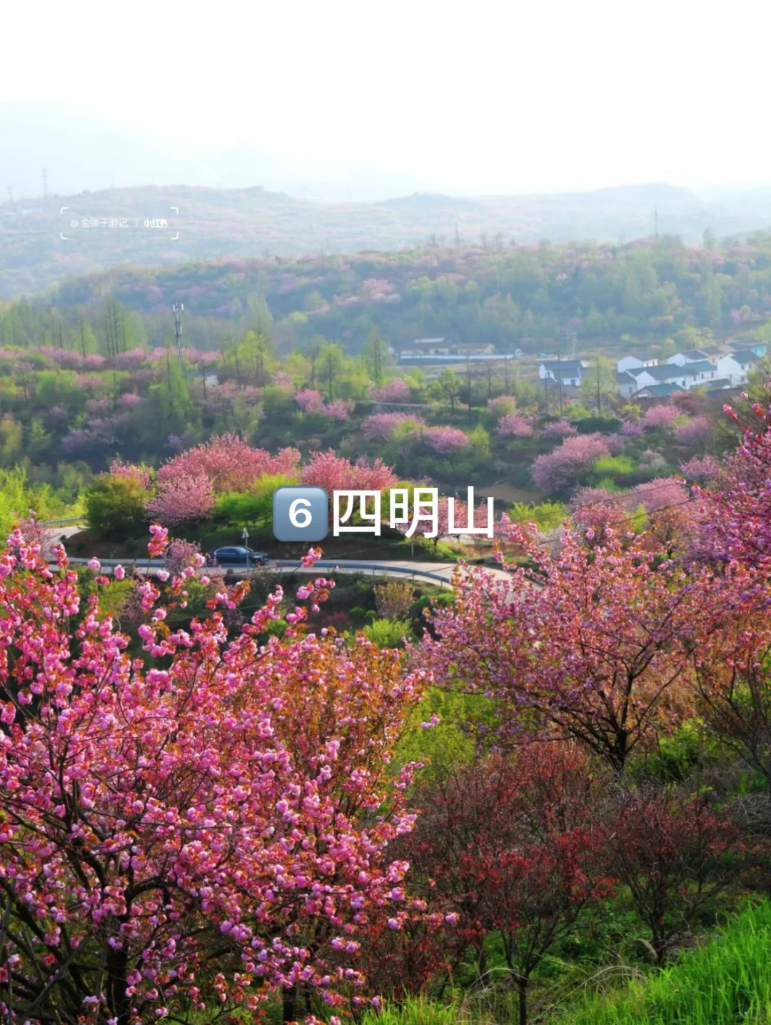 2月底到4月江浙沪周边的9个绝佳去处👍