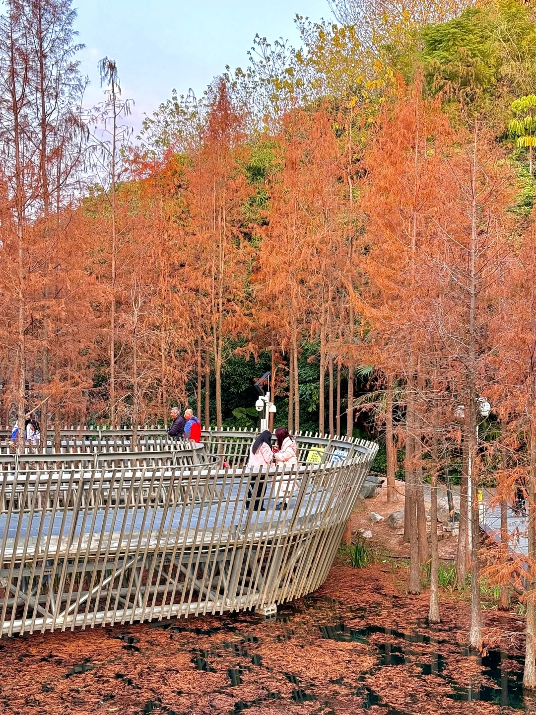 我宣布！！这才是福州蕞舒服的Citywalk路线🥹