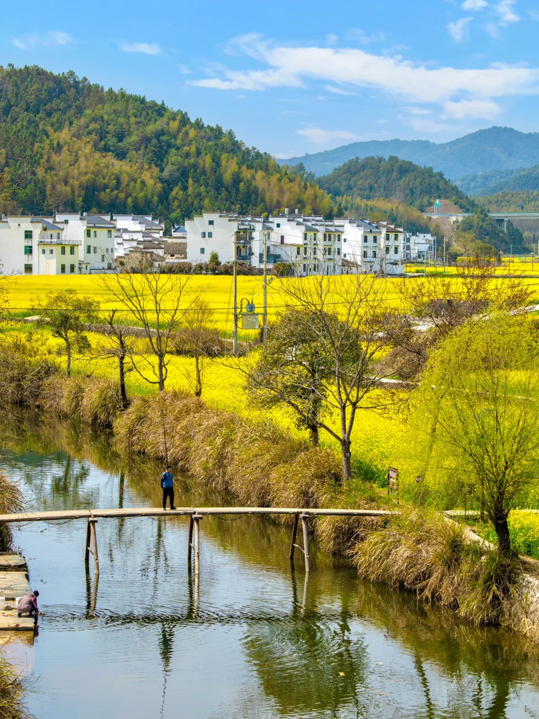 “后来我逢人便说三月的婺源有多浪漫🌼～”