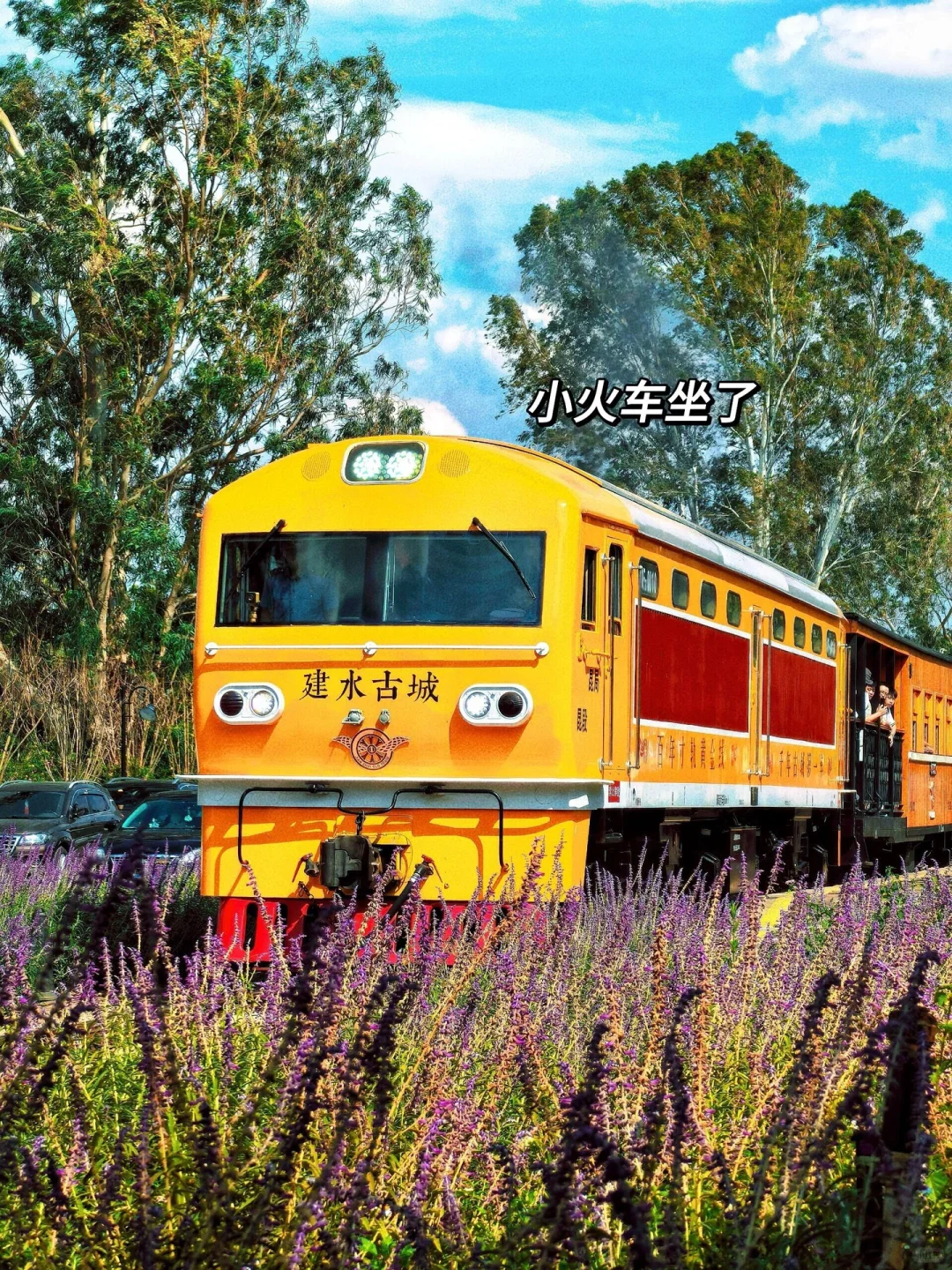 接下来2-4月云南弥勒+普者黑:淡季天花板!