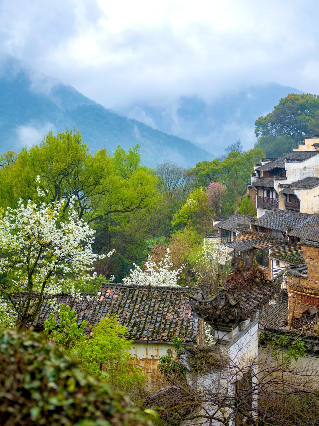 “后来我逢人便说三月的婺源有多浪漫🌼～”