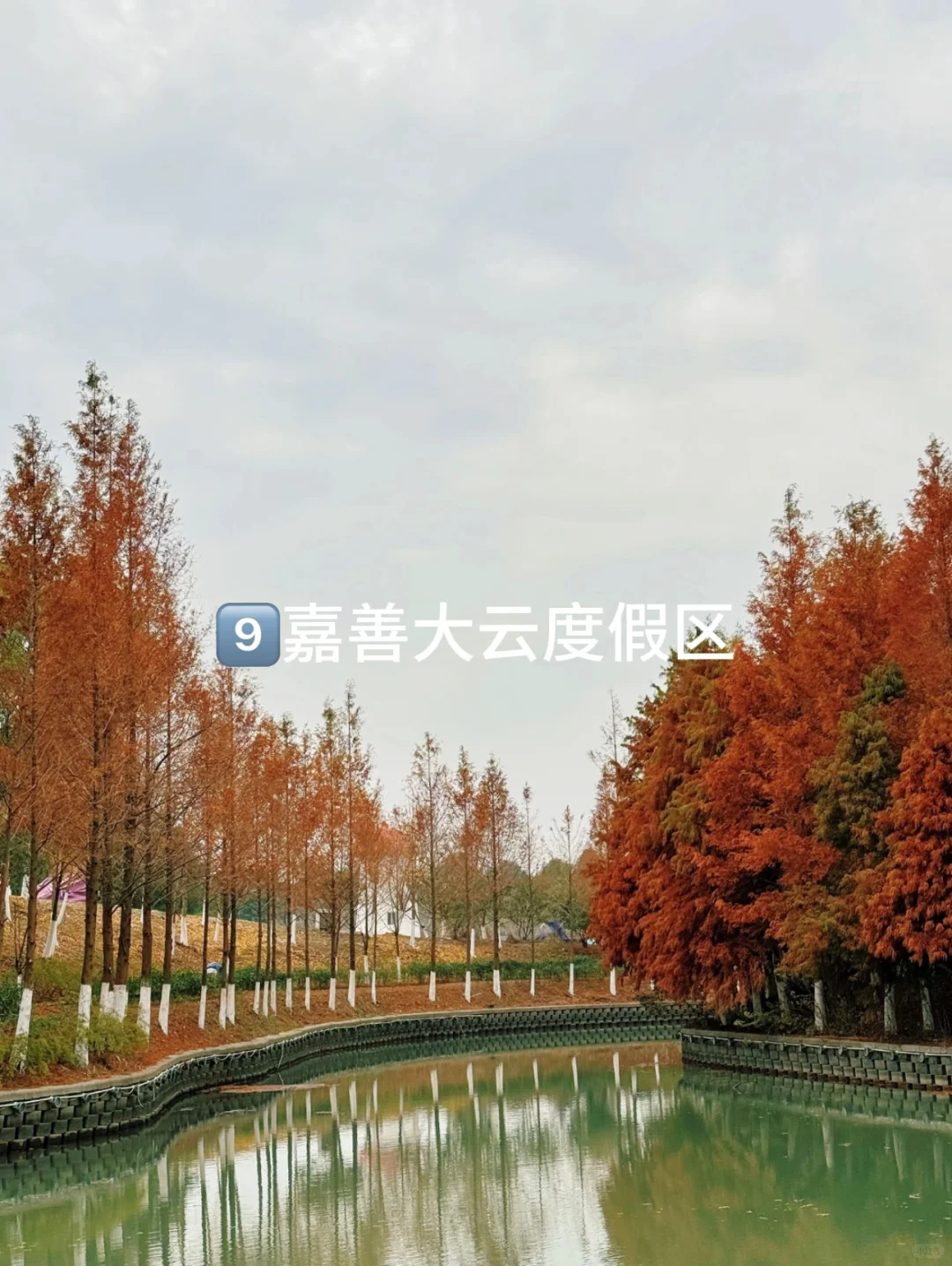 2月底到4月江浙沪周边的9个绝佳去处👍