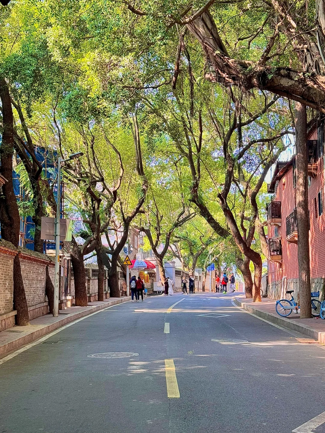 我宣布！！这才是福州蕞舒服的Citywalk路线🥹