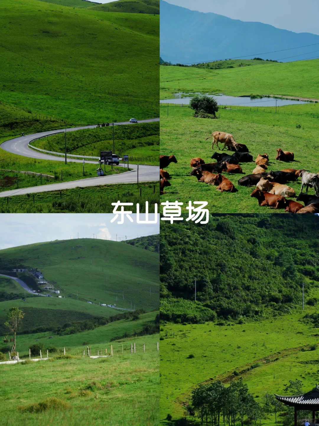 云南腾冲旅游攻略