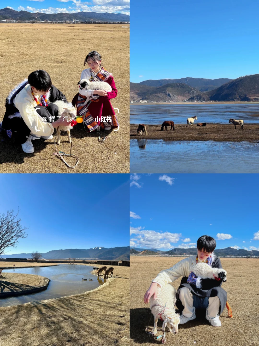 云南旅行👫七天花了2600，不踩雷路线❗