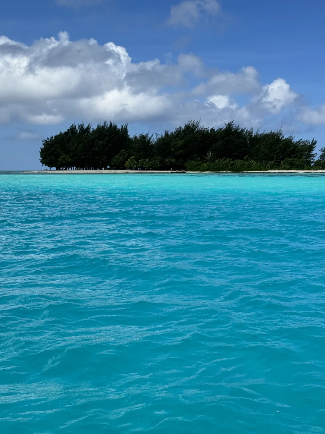 这片海真的让人很上头