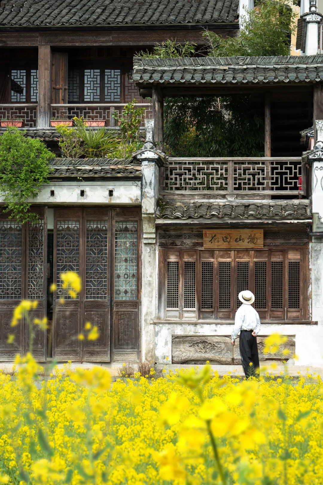 迄今为止❗️我最喜欢的春日小城出现啦‼️