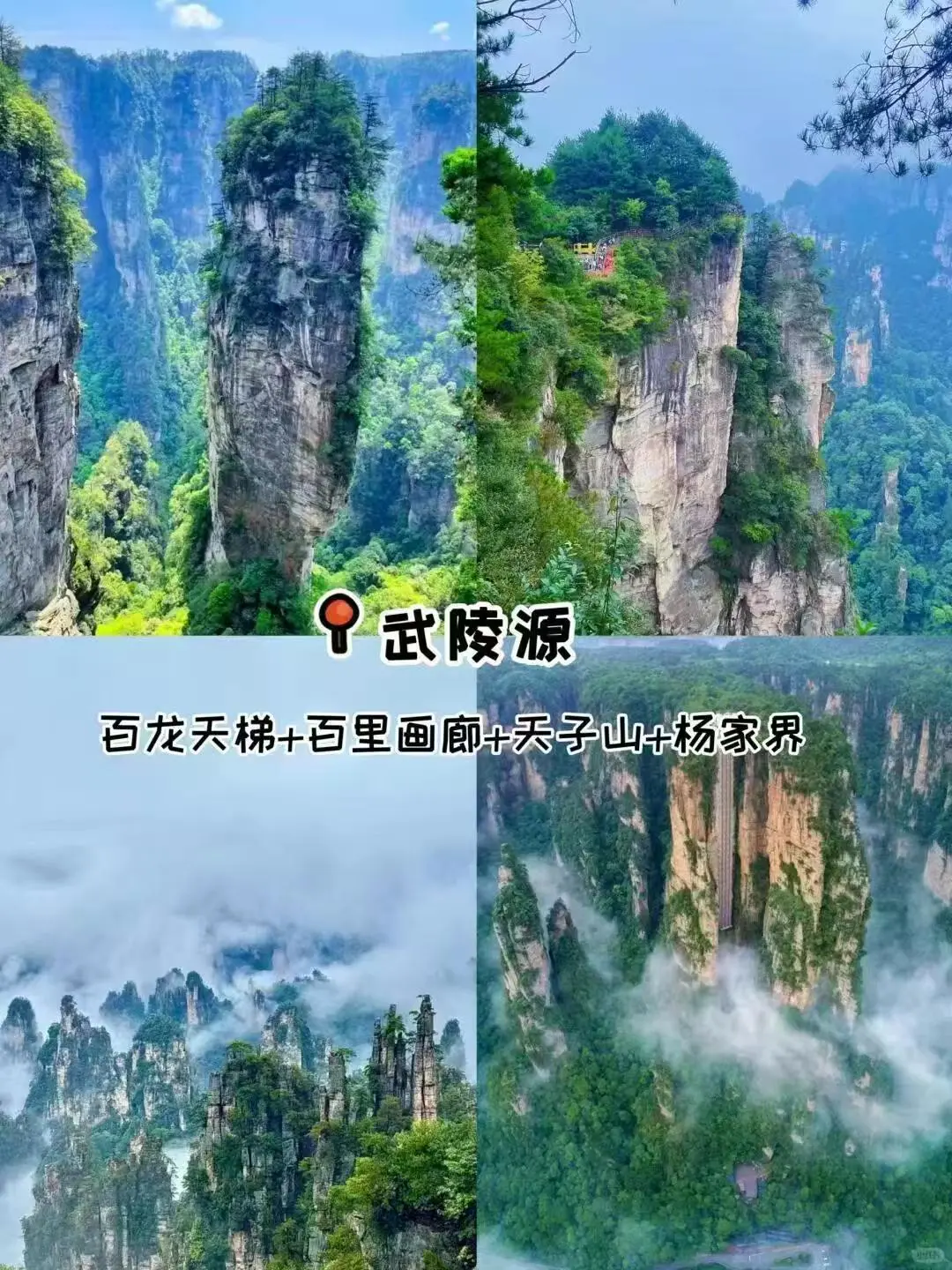 2025张家界旅游最全攻略💎张家界五日游