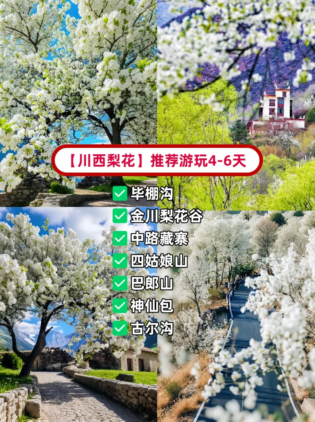2025最新3-4月国内💐赏花地保姆级赏花攻略