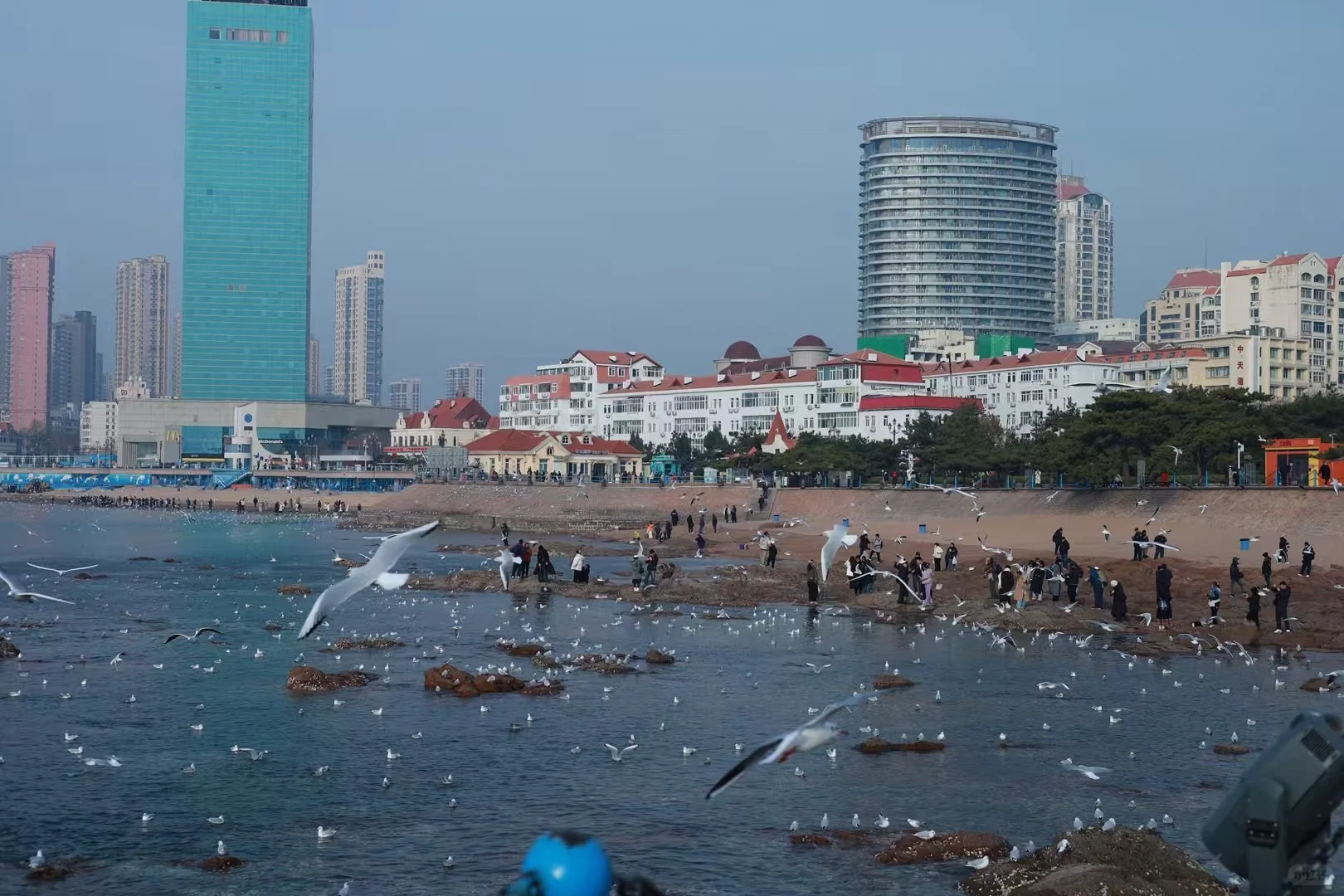 02男大📍青岛/寒假三天两夜超详细旅游攻略