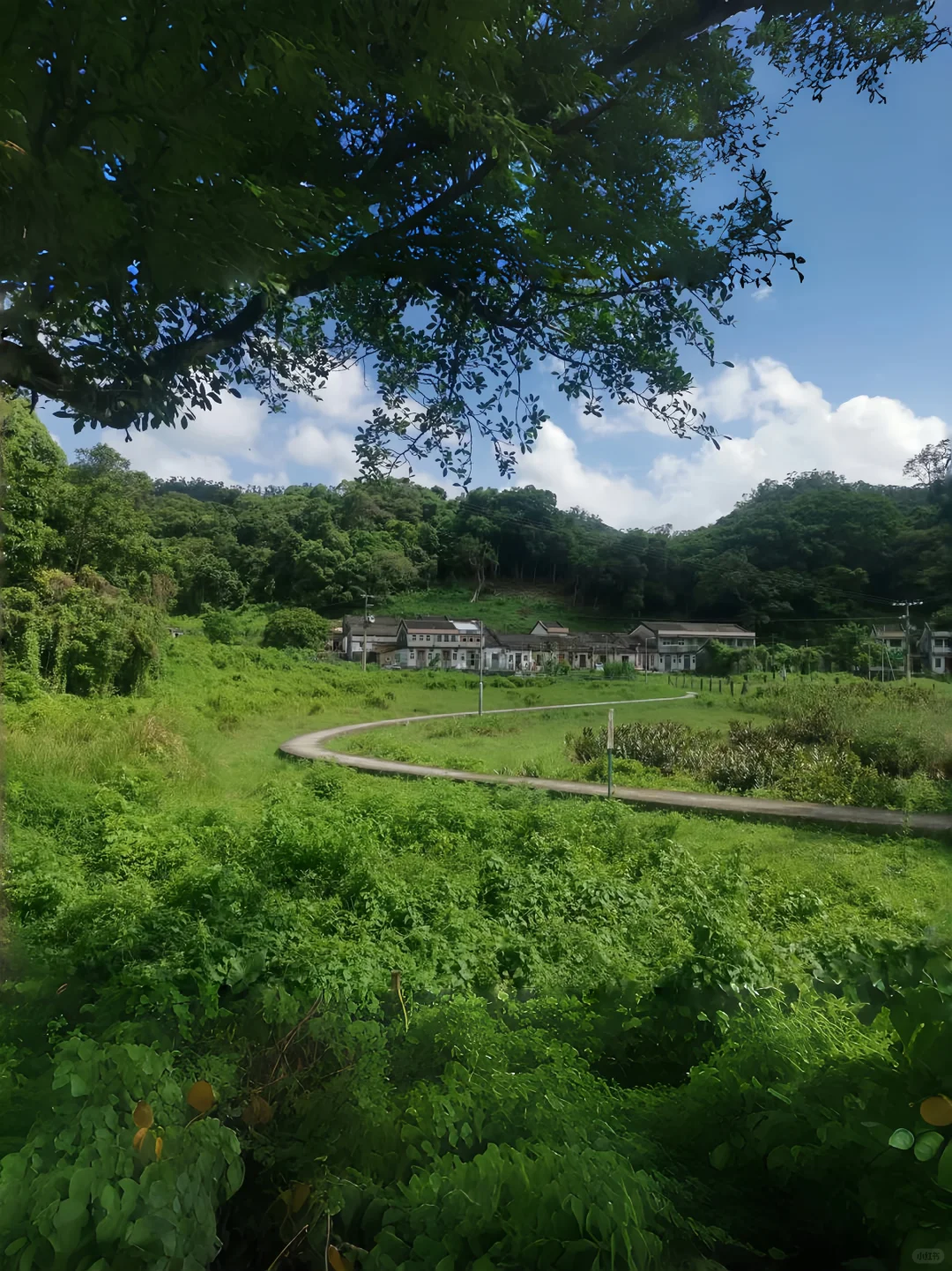 🪐被《孤独星球》评为亚洲Top5的旅游路线