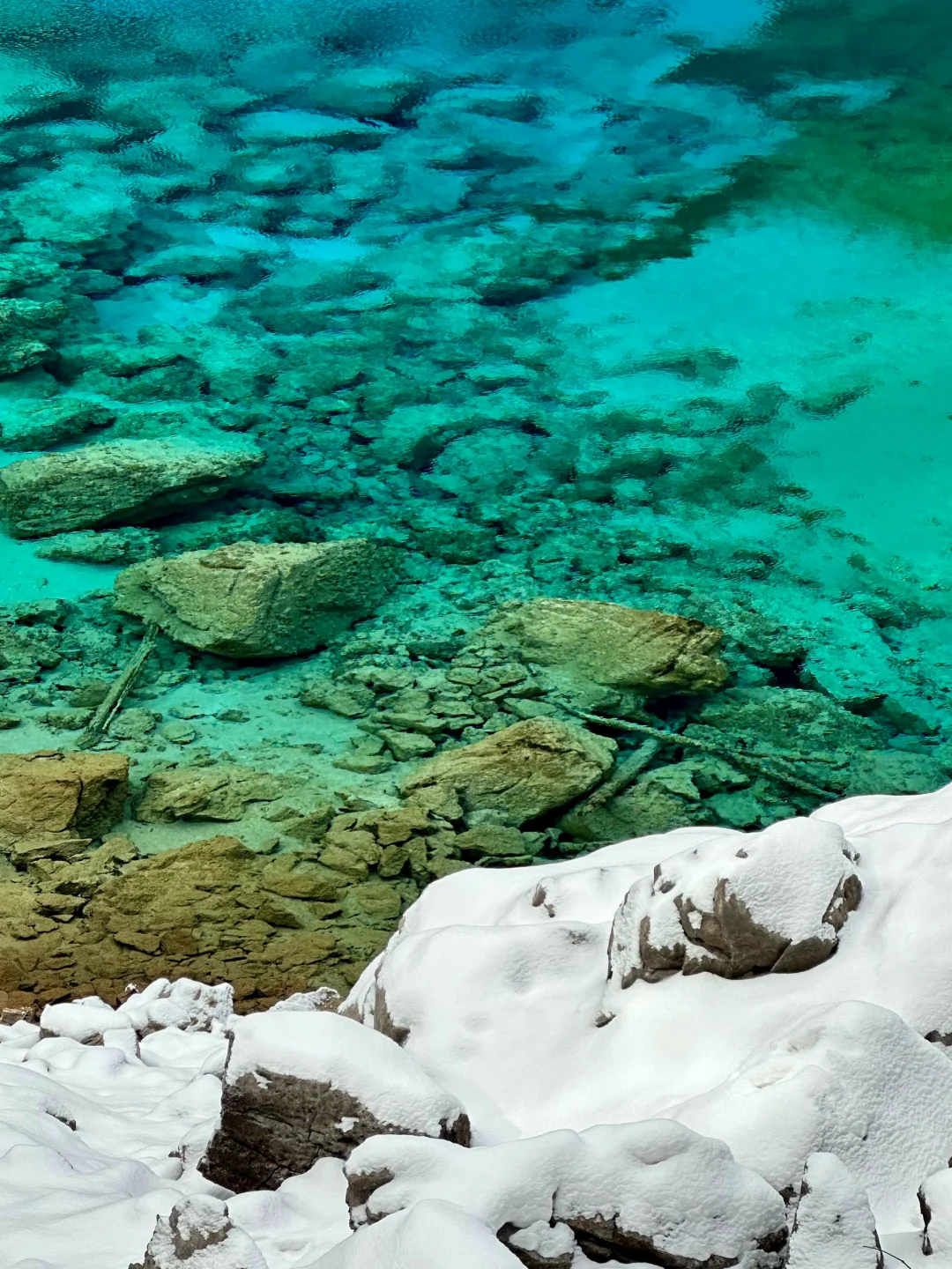 2.17 九寨沟live现状,想去的姐妹慎重。。。😅