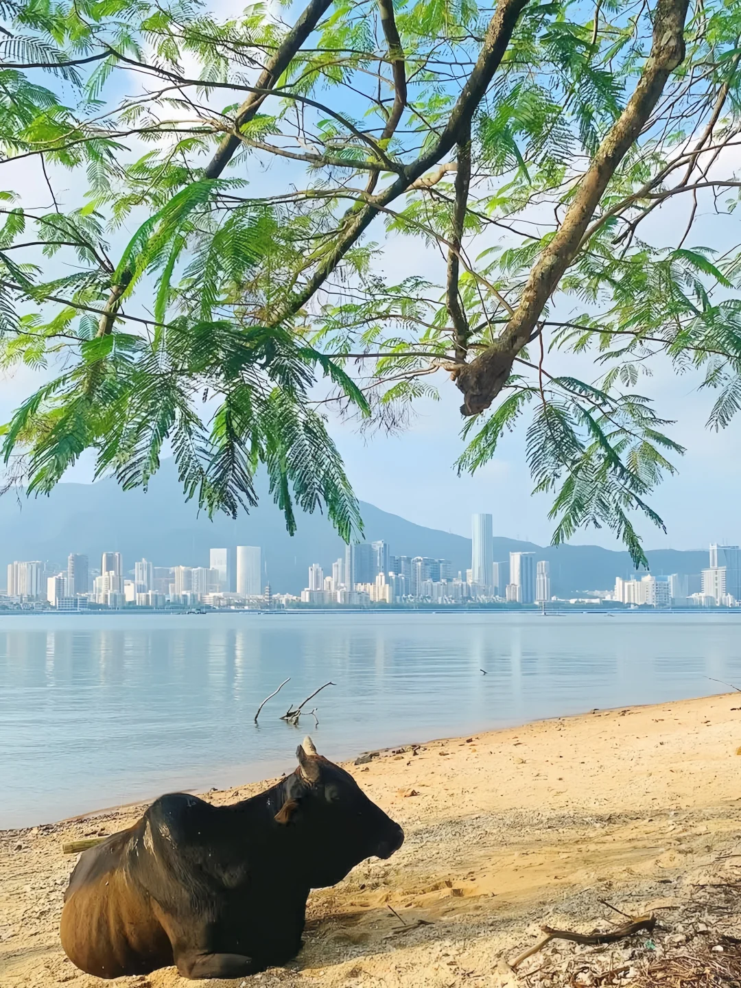 🪐被《孤独星球》评为亚洲Top5的旅游路线