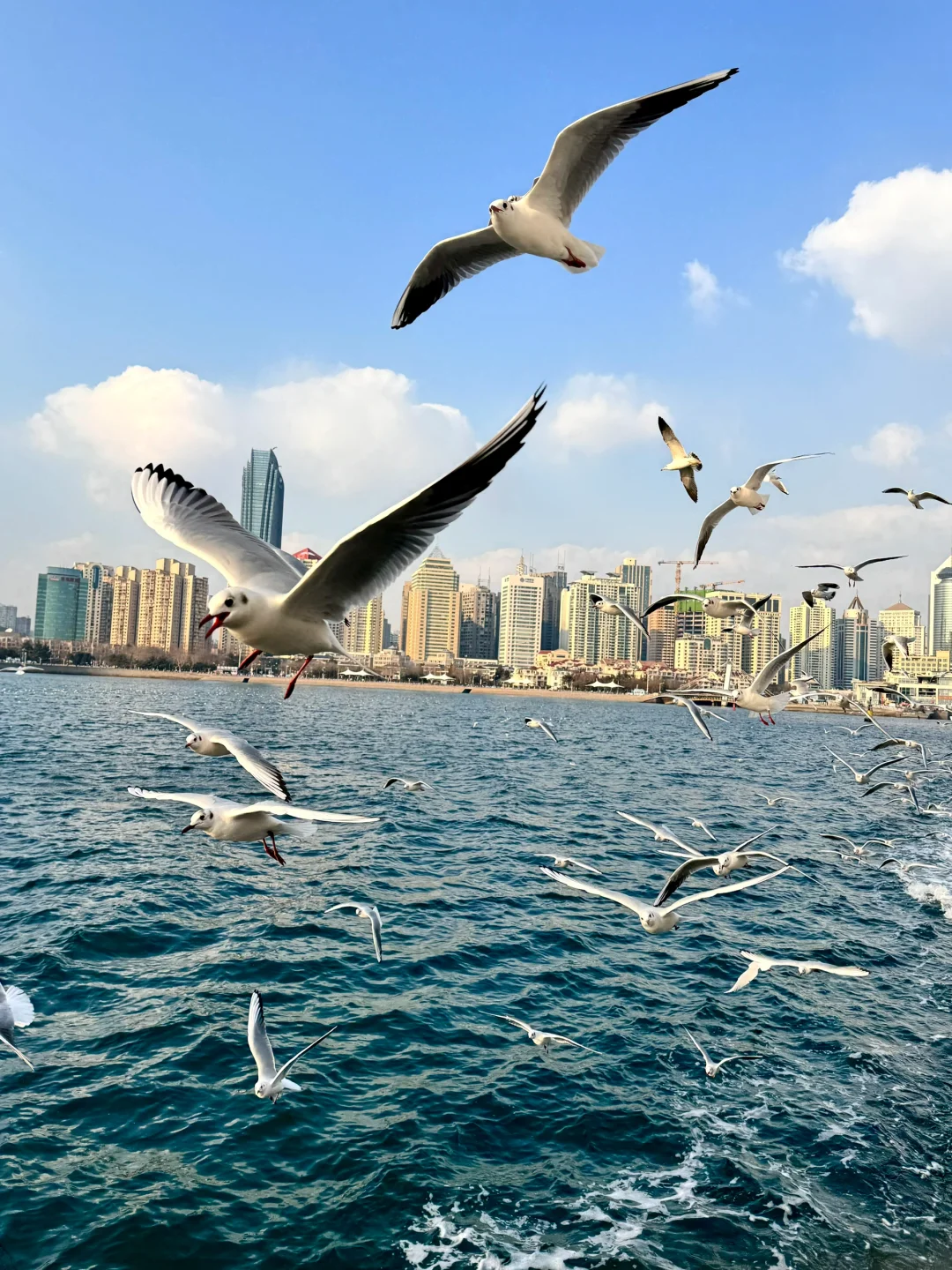 周末72h逃离武汉⇨青岛