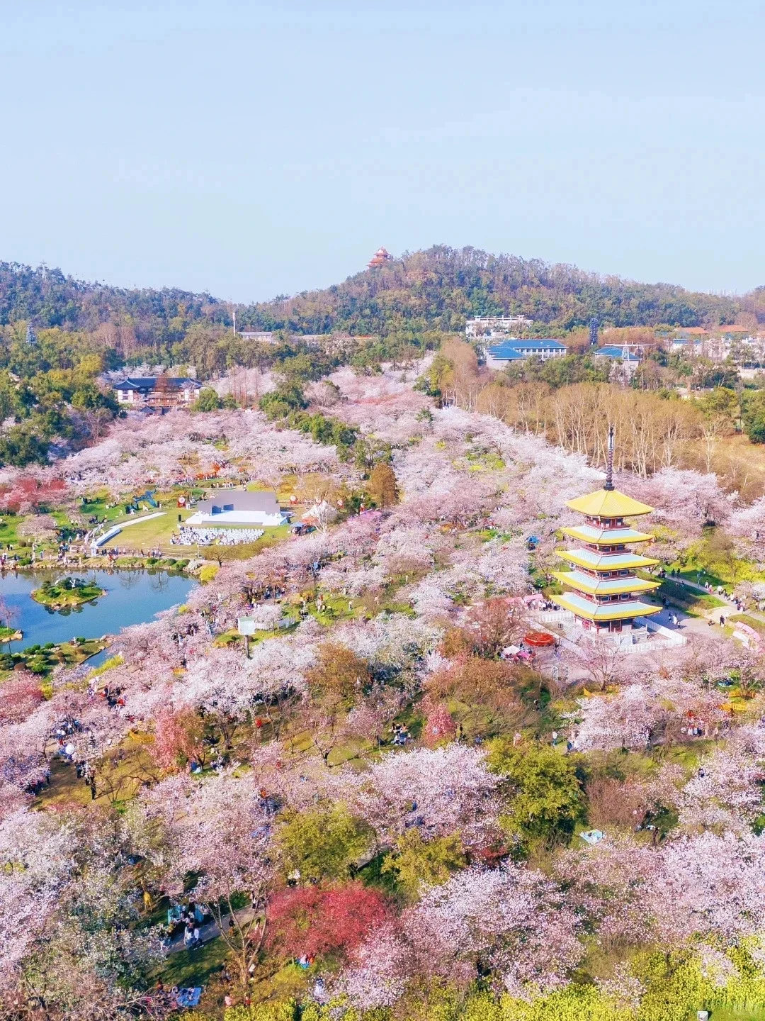 中国春景最美的10个地方争取一年去一个