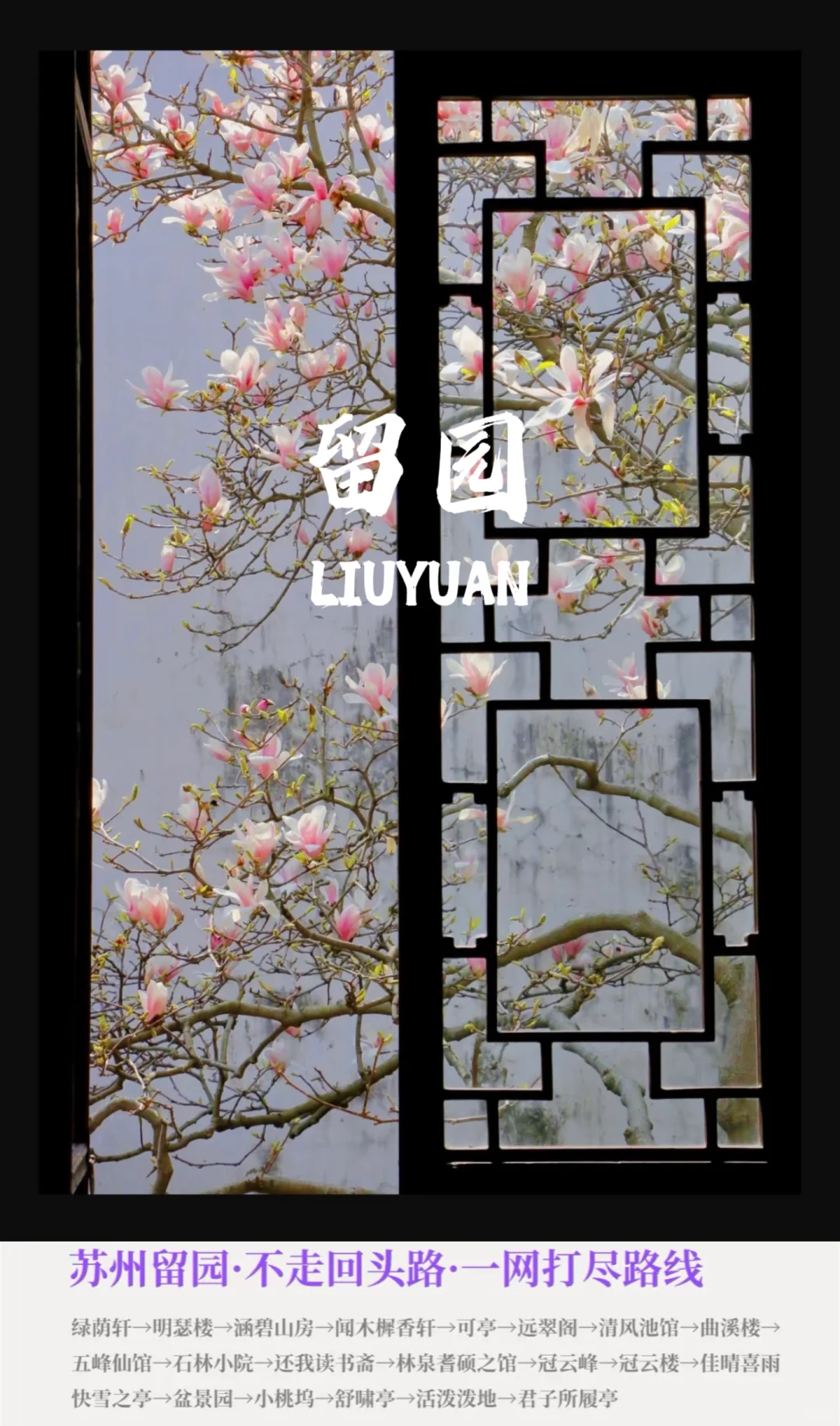 春日🌸苏州｜更适合女生游玩的2️⃣日路线