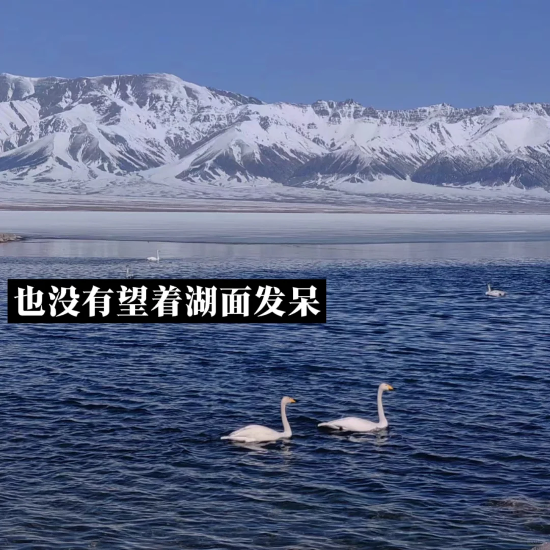 复盘‖大学旅行的意义不只有拍照发圈