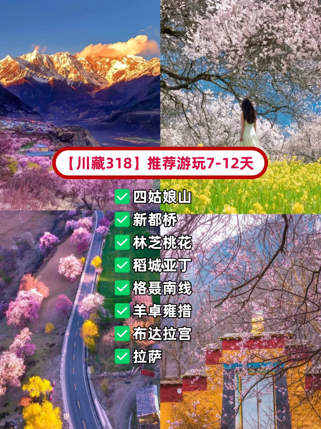 2025最新3-4月国内💐赏花地保姆级赏花攻略