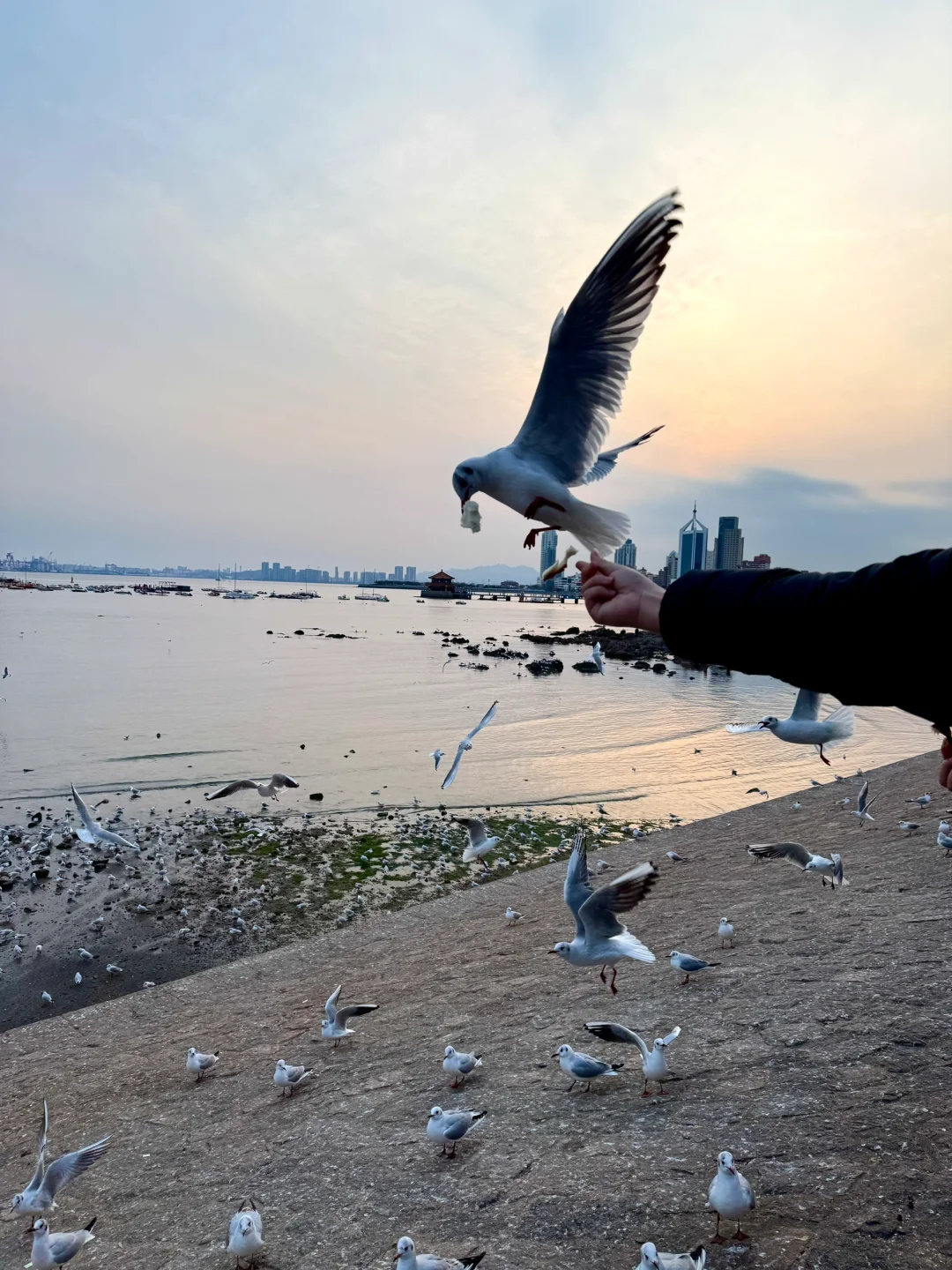 周末72h逃离武汉⇨青岛