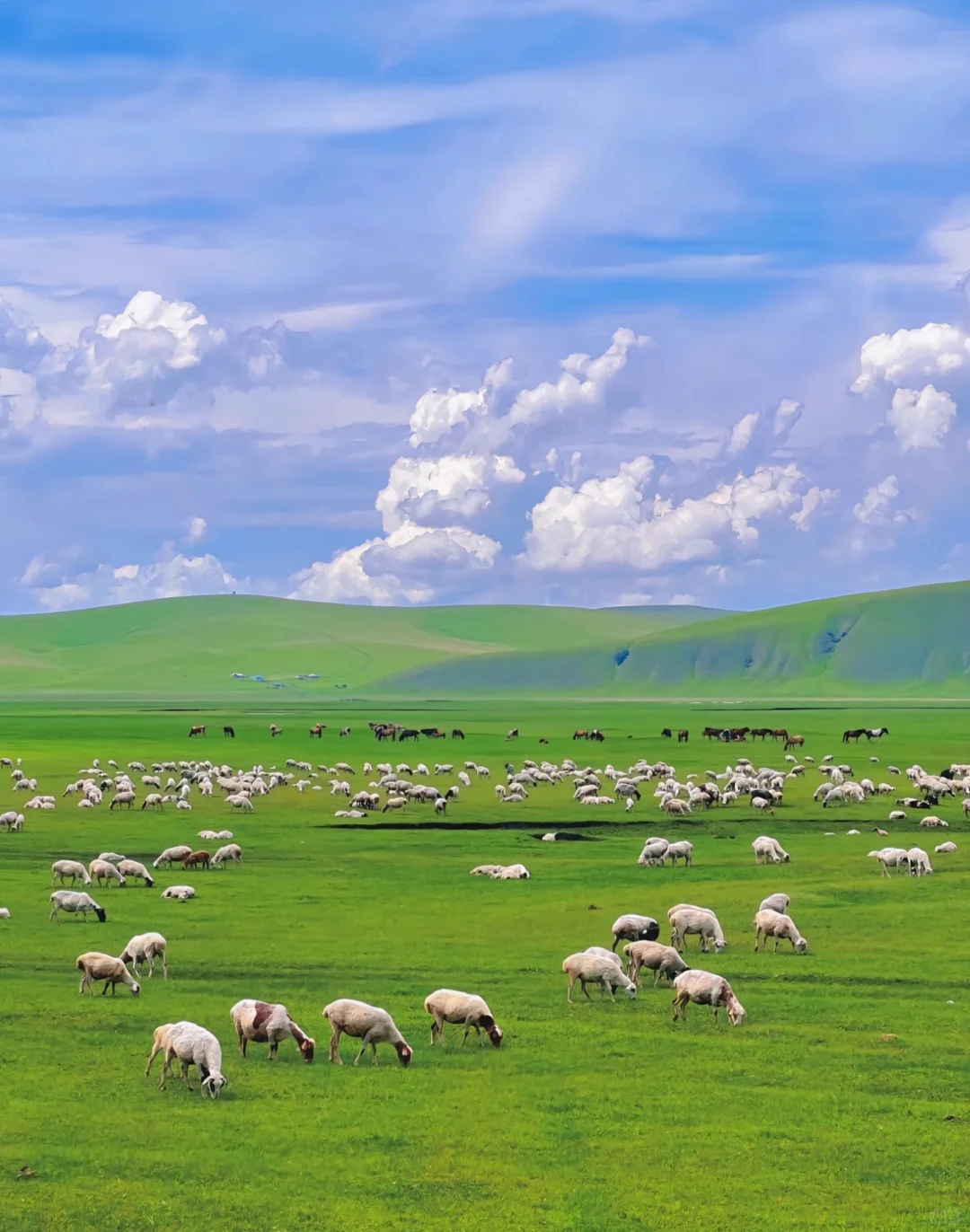 被《国家地理》称之为，最美草原公路之一🛣️