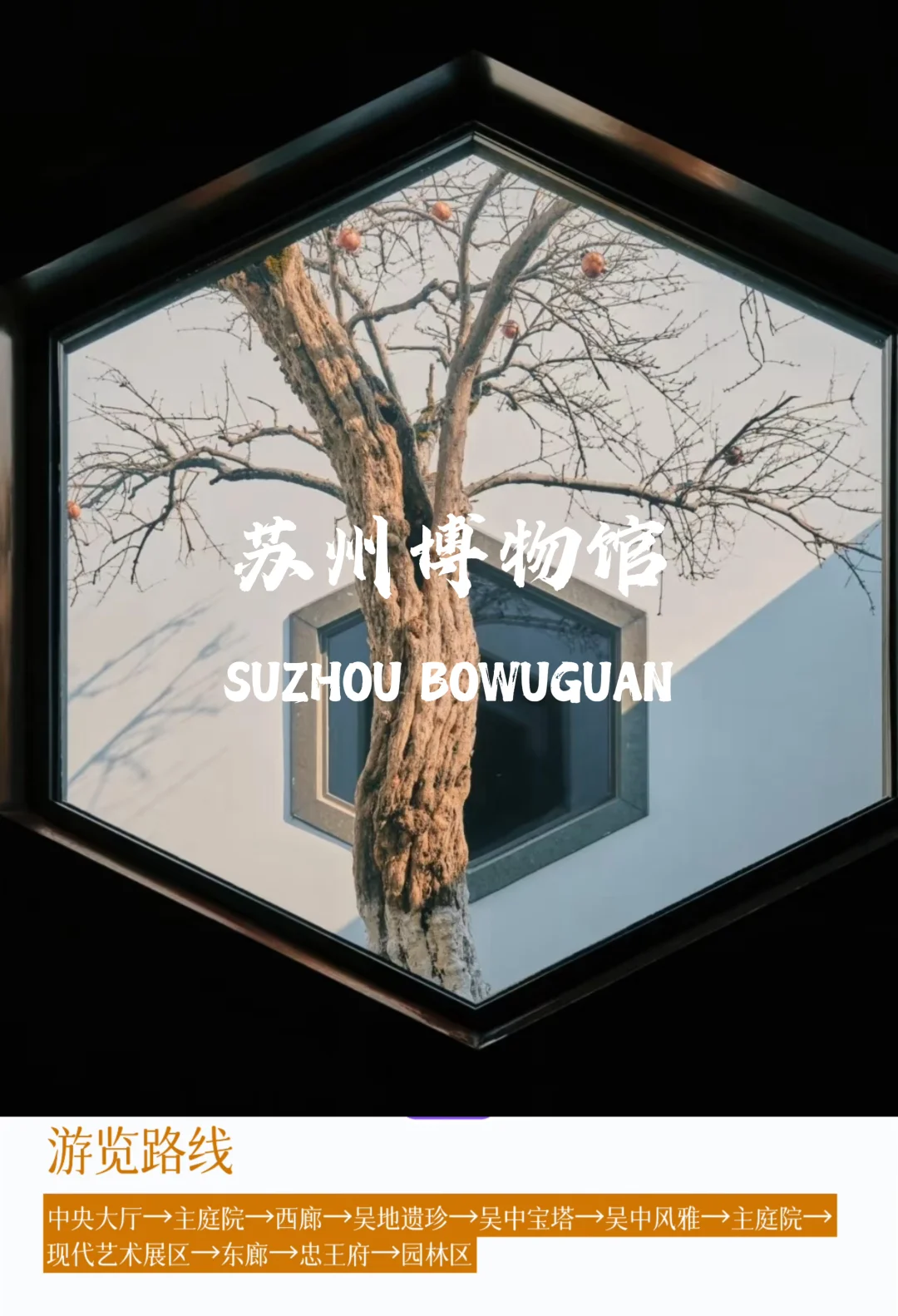 春日🌸苏州｜更适合女生游玩的2️⃣日路线