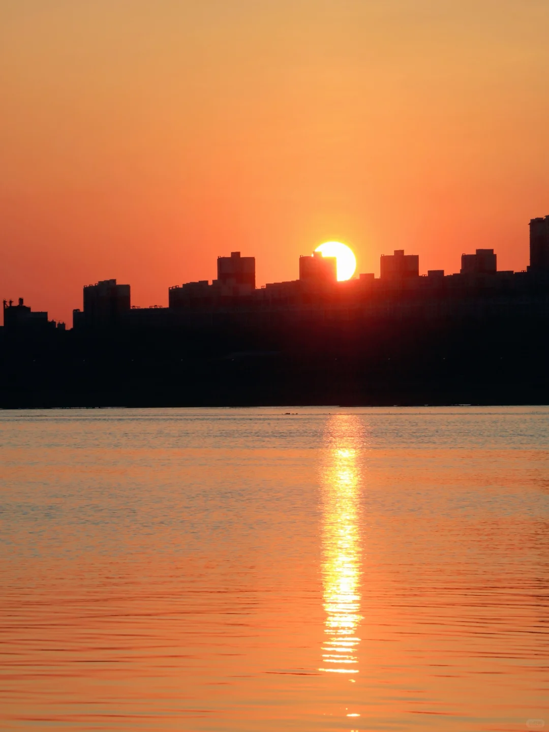 成都出发｜挑战每周去旅行➡️第5站📍运城