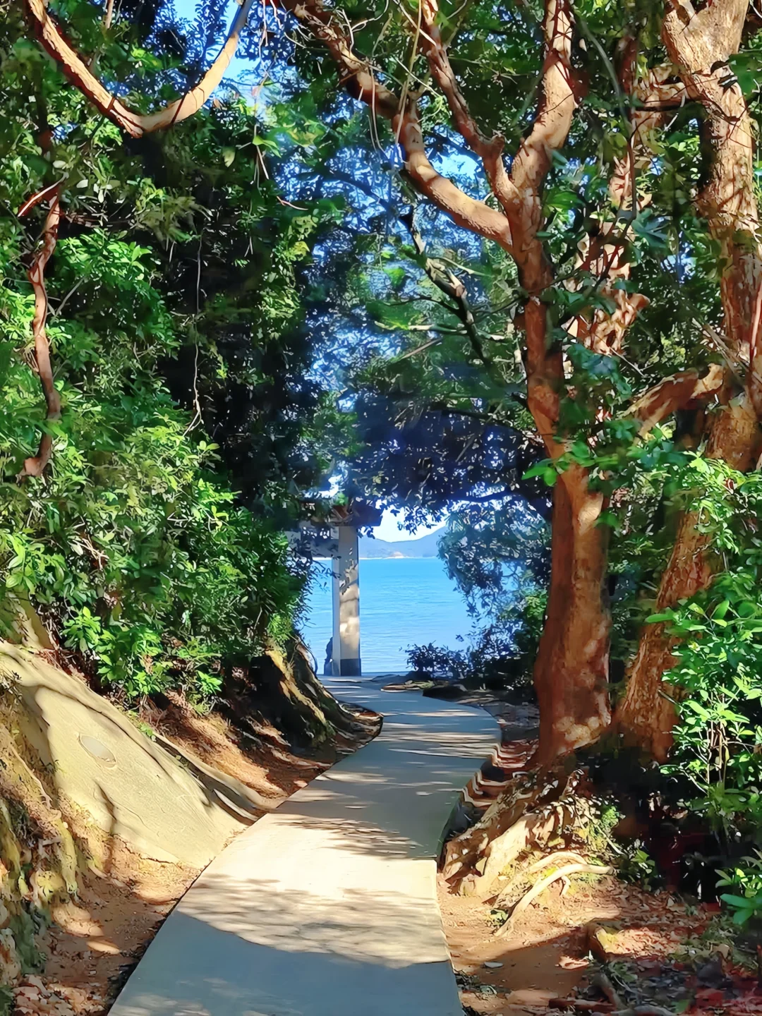 🪐被《孤独星球》评为亚洲Top5的旅游路线