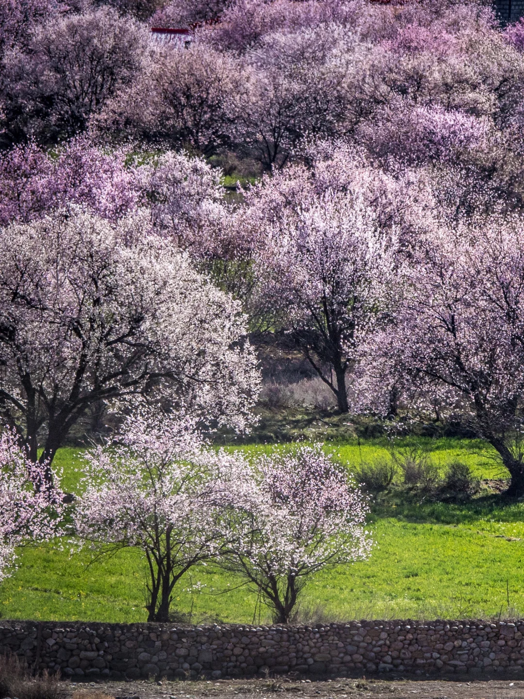感谢王一博！我很少用震撼来形容一个地方！🧊