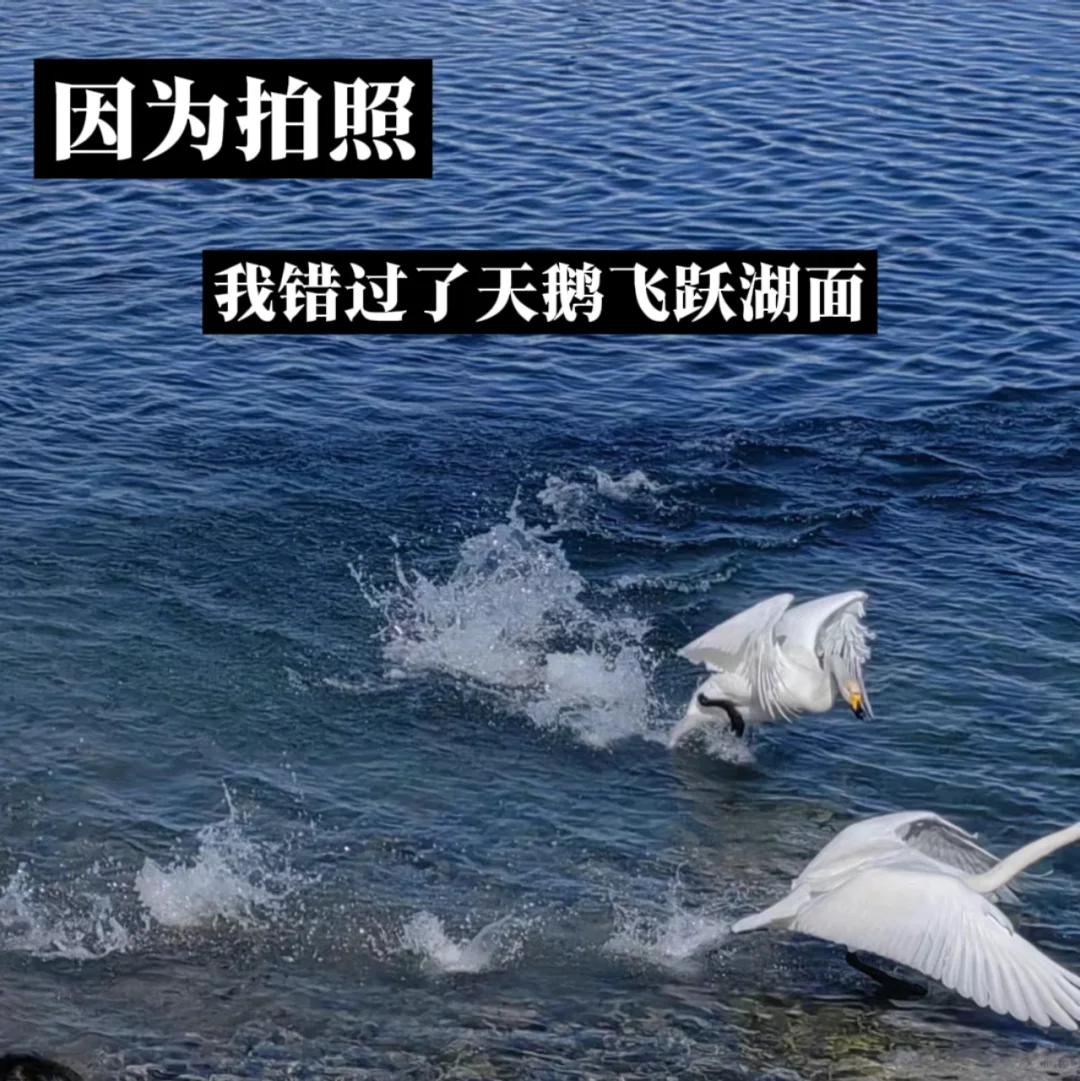 复盘‖大学旅行的意义不只有拍照发圈