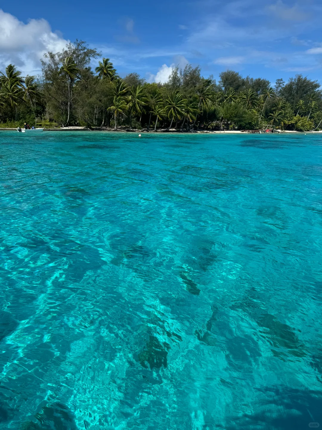 这片海真的让人很上头
