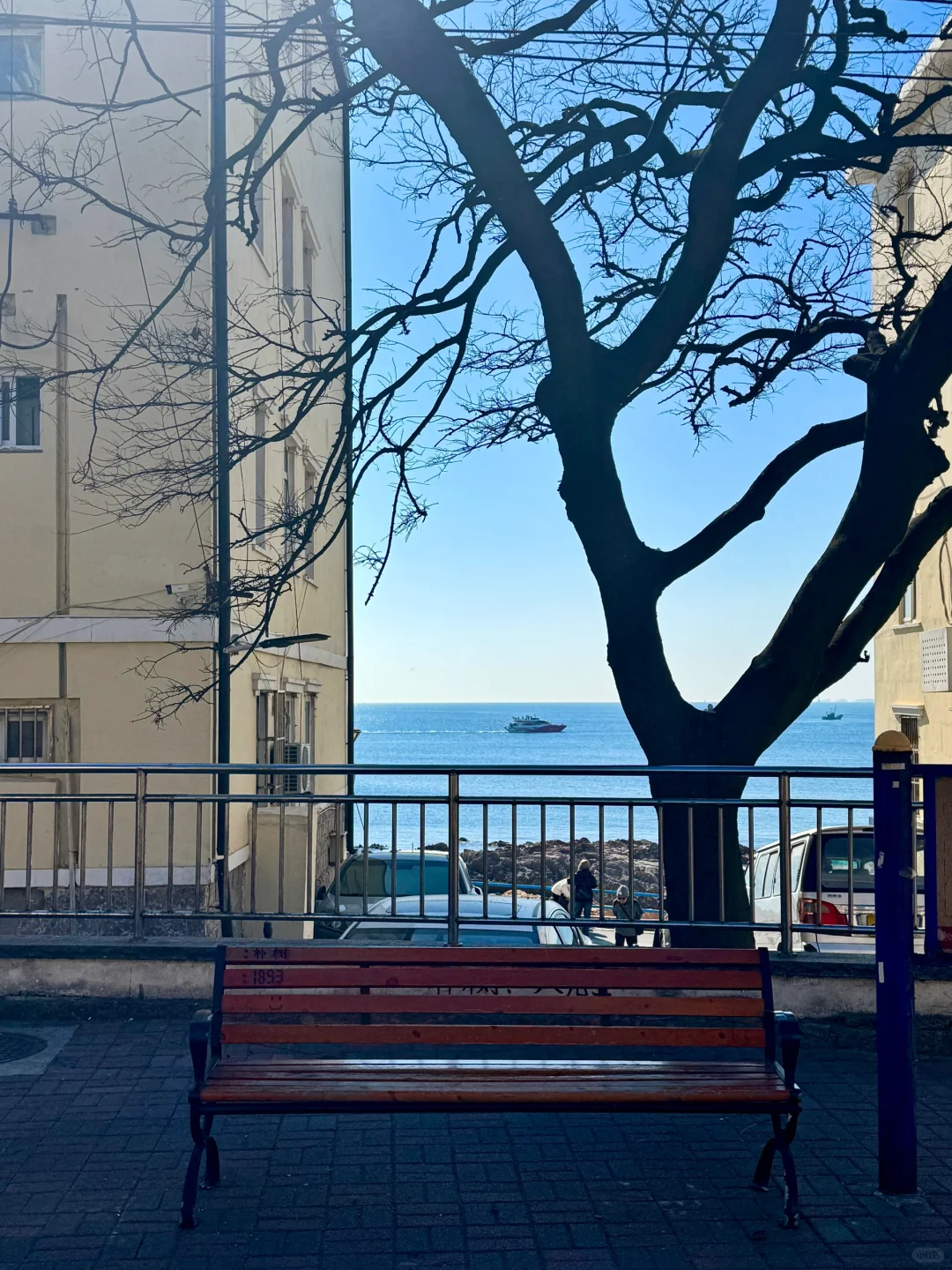 周末72h逃离武汉⇨青岛