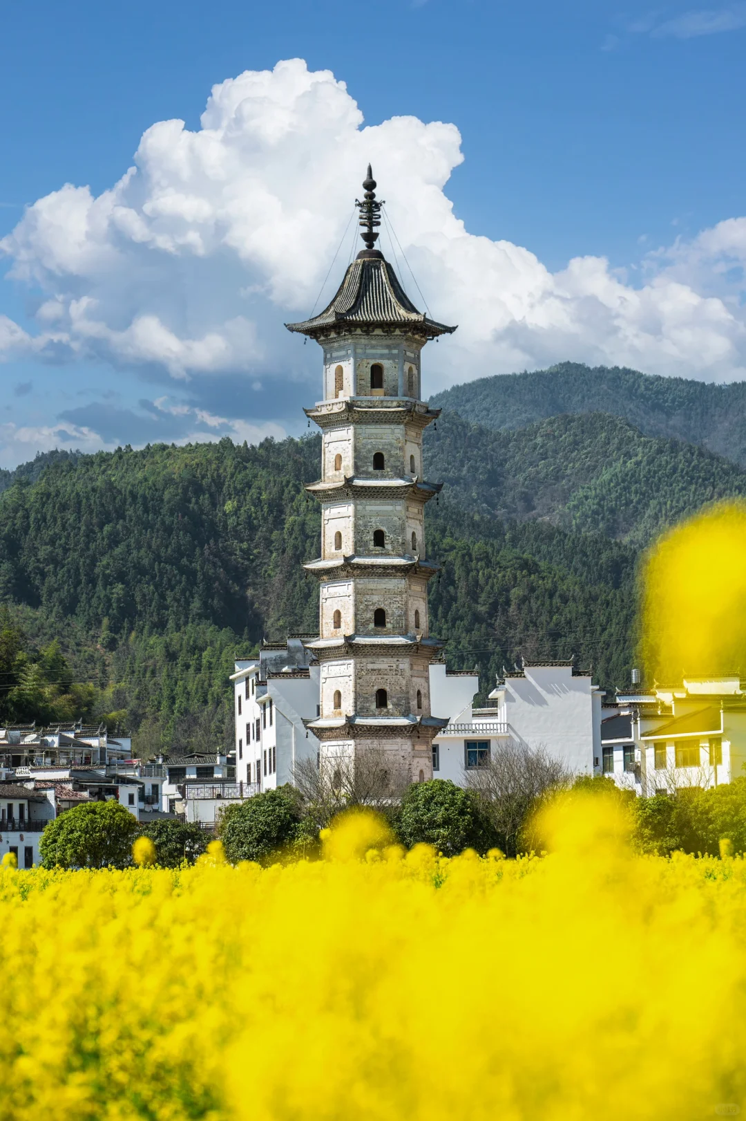 迄今为止❗️我最喜欢的春日小城出现啦‼️