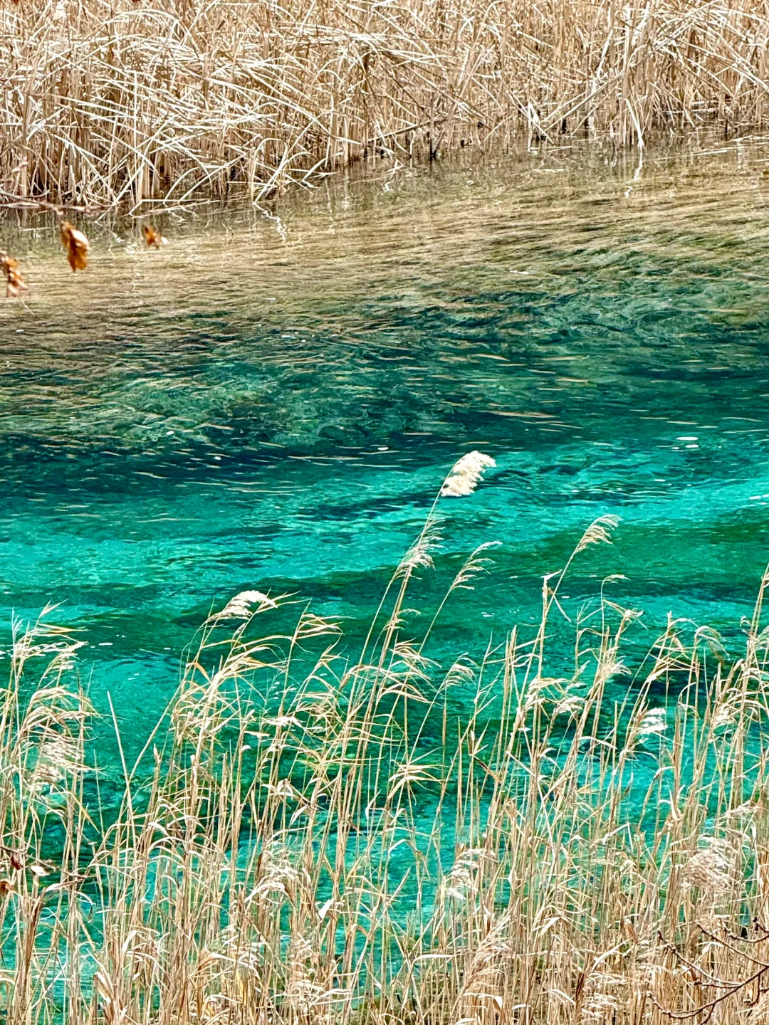 2.17 九寨沟live现状,想去的姐妹慎重。。。😅