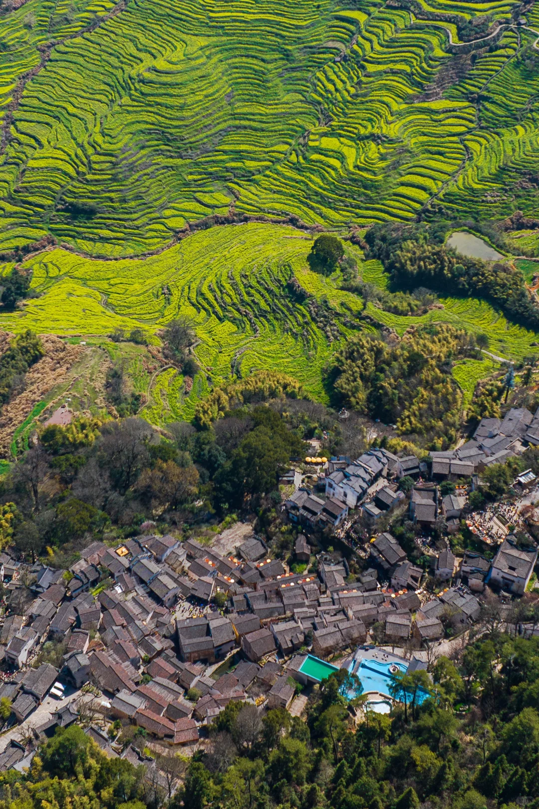 迄今为止❗️我最喜欢的春日小城出现啦‼️