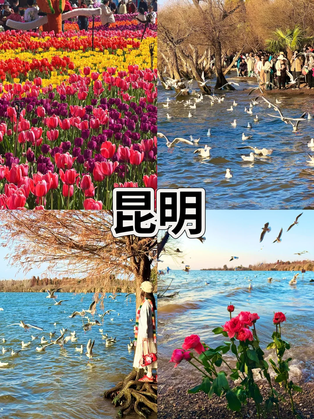 三月适合出游，五个“零差评”温馨城市