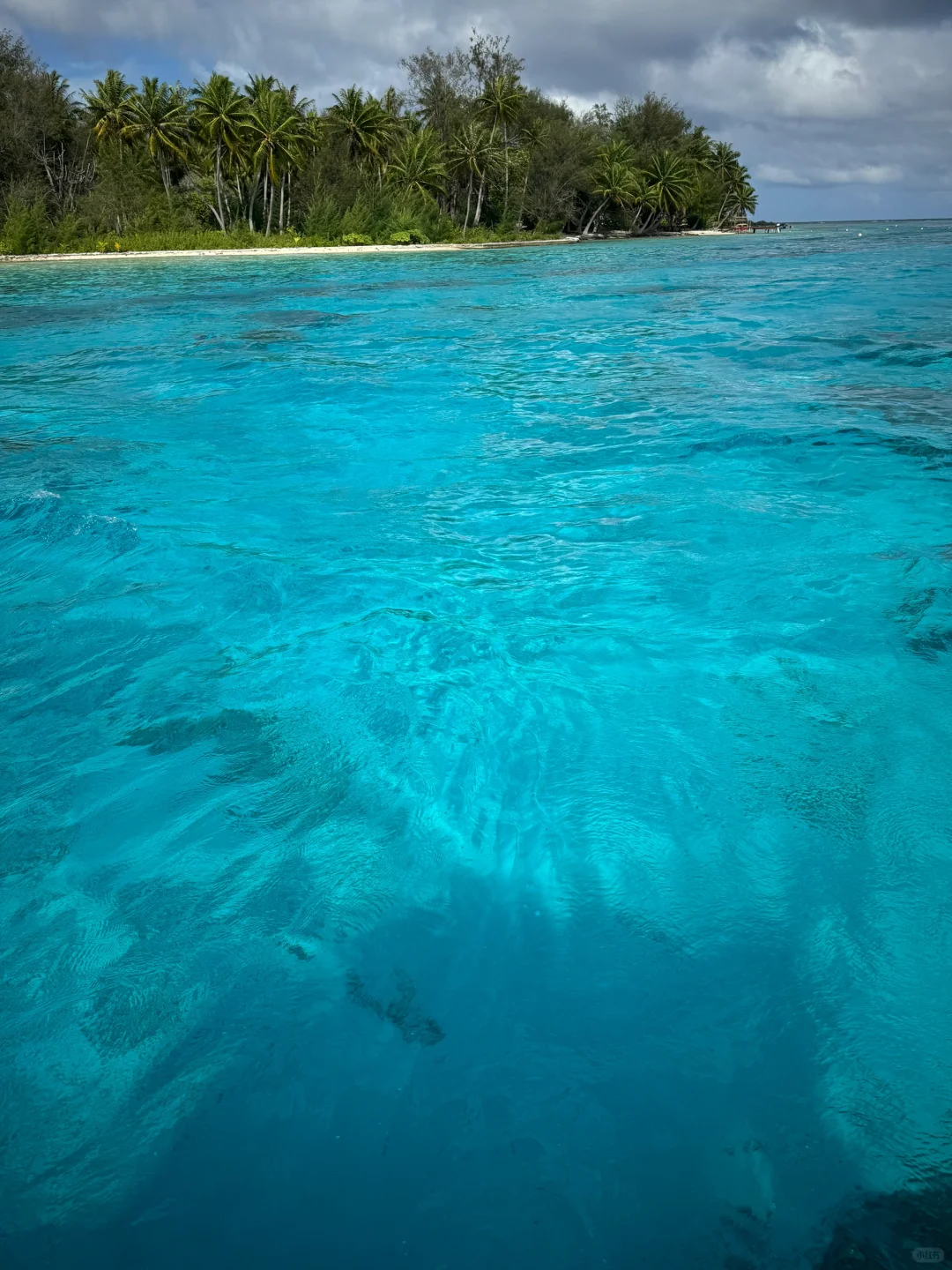 这片海真的让人很上头