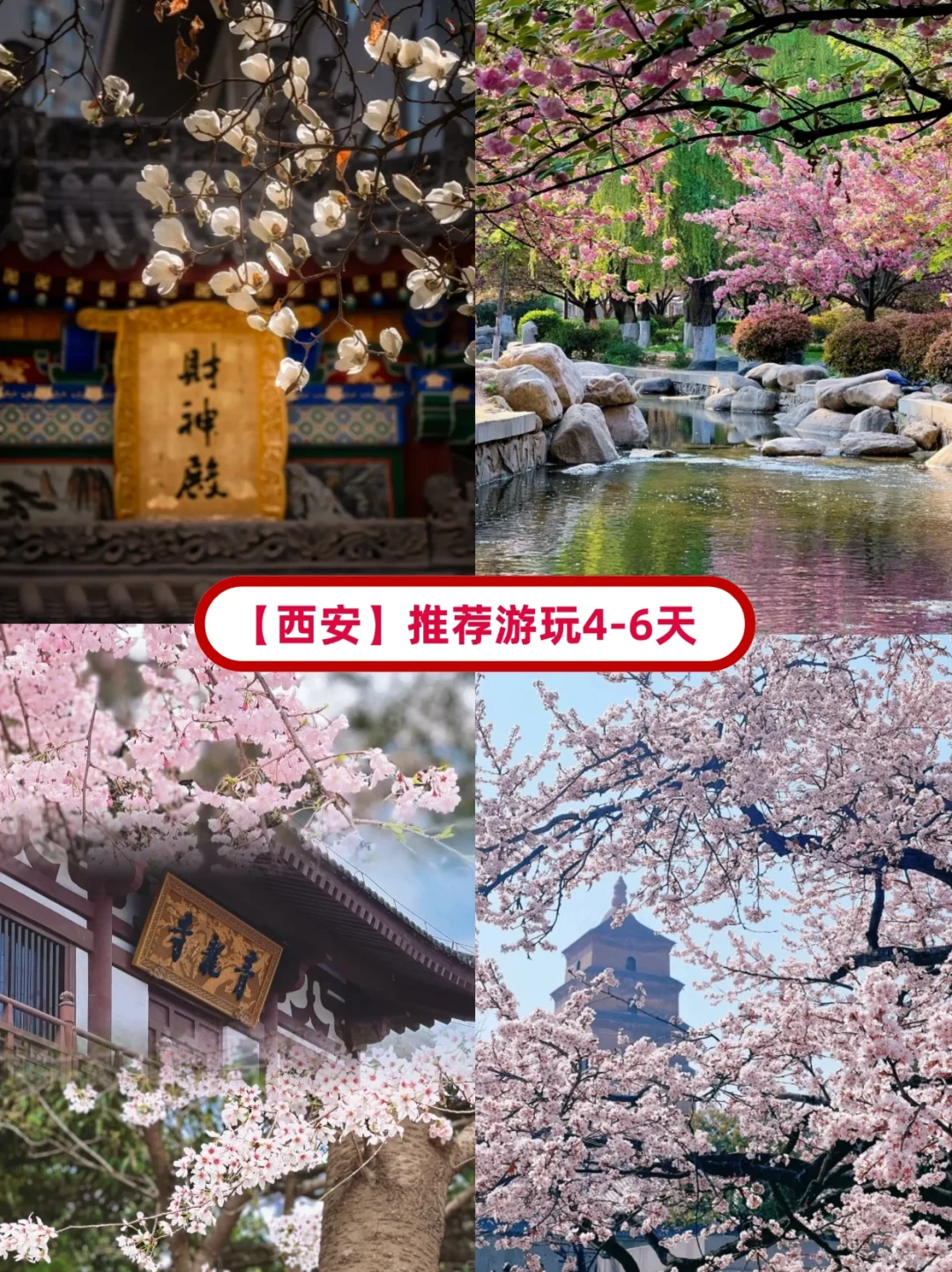 2025最新3-4月国内💐赏花地保姆级赏花攻略