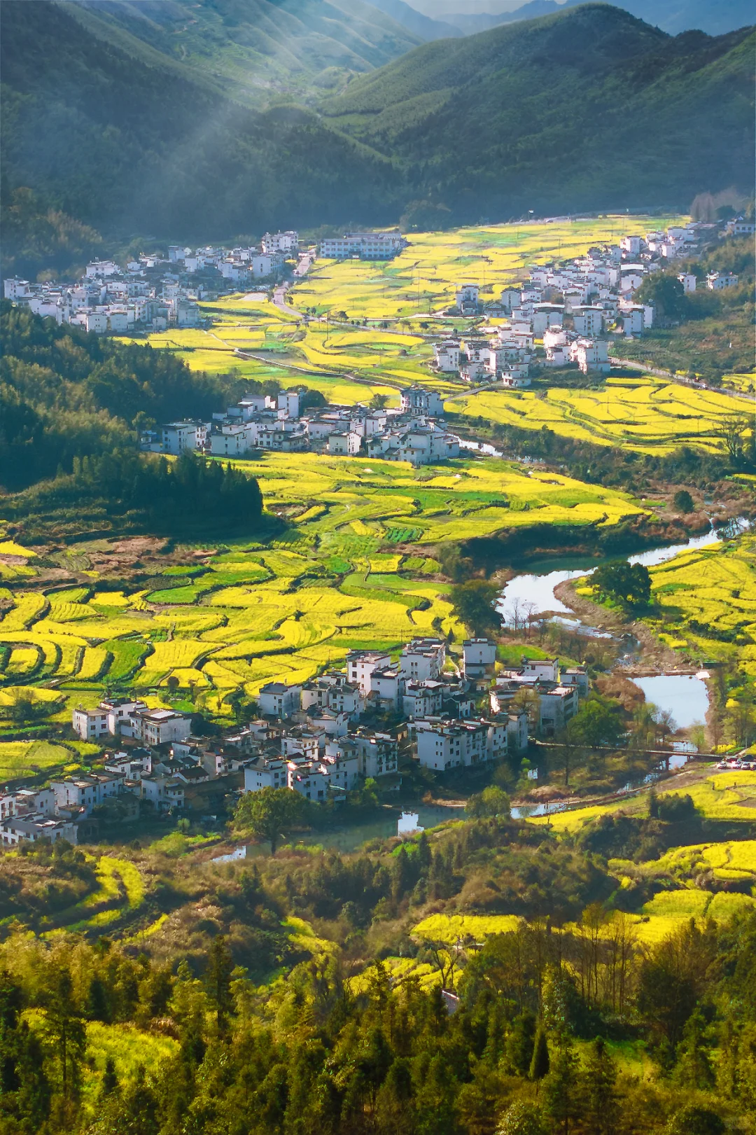 迄今为止❗️我最喜欢的春日小城出现啦‼️