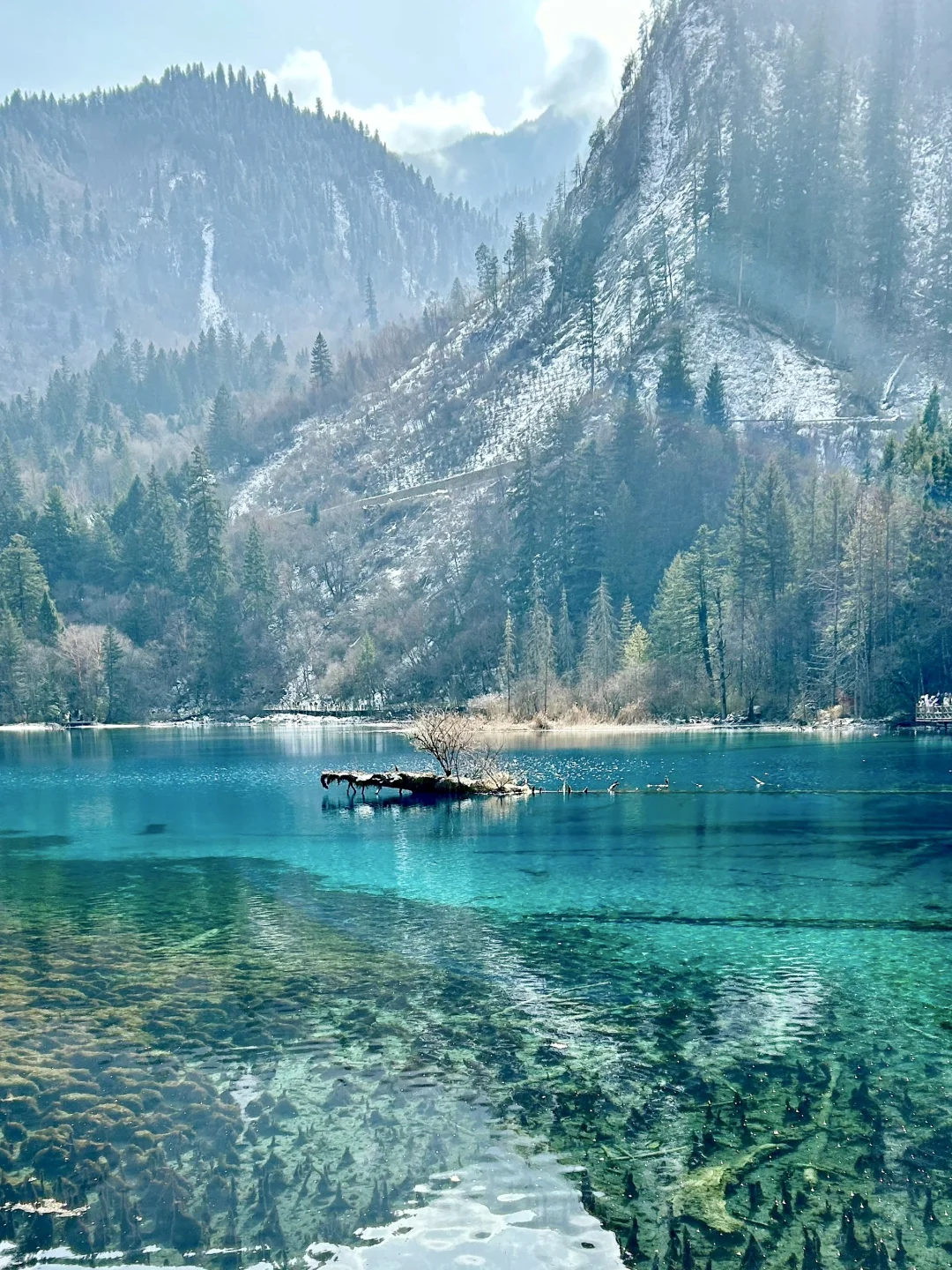 2.17 九寨沟live现状,想去的姐妹慎重。。。😅