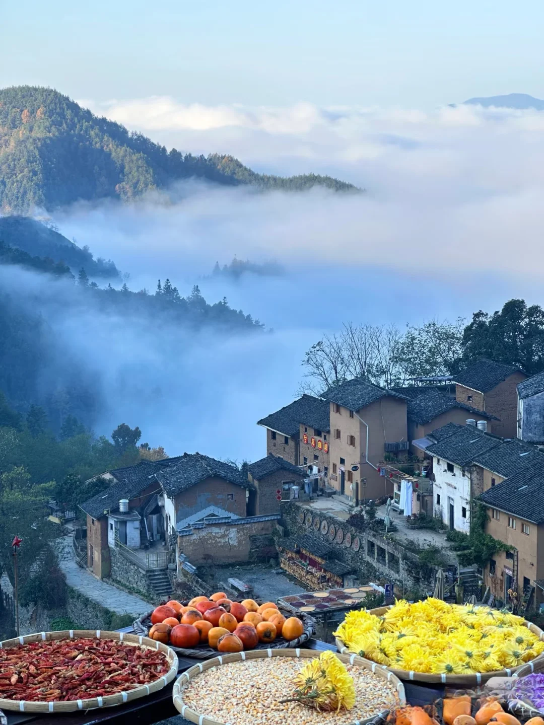 三月中旬去徽州