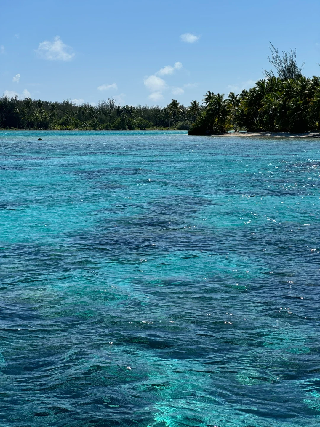 这片海真的让人很上头