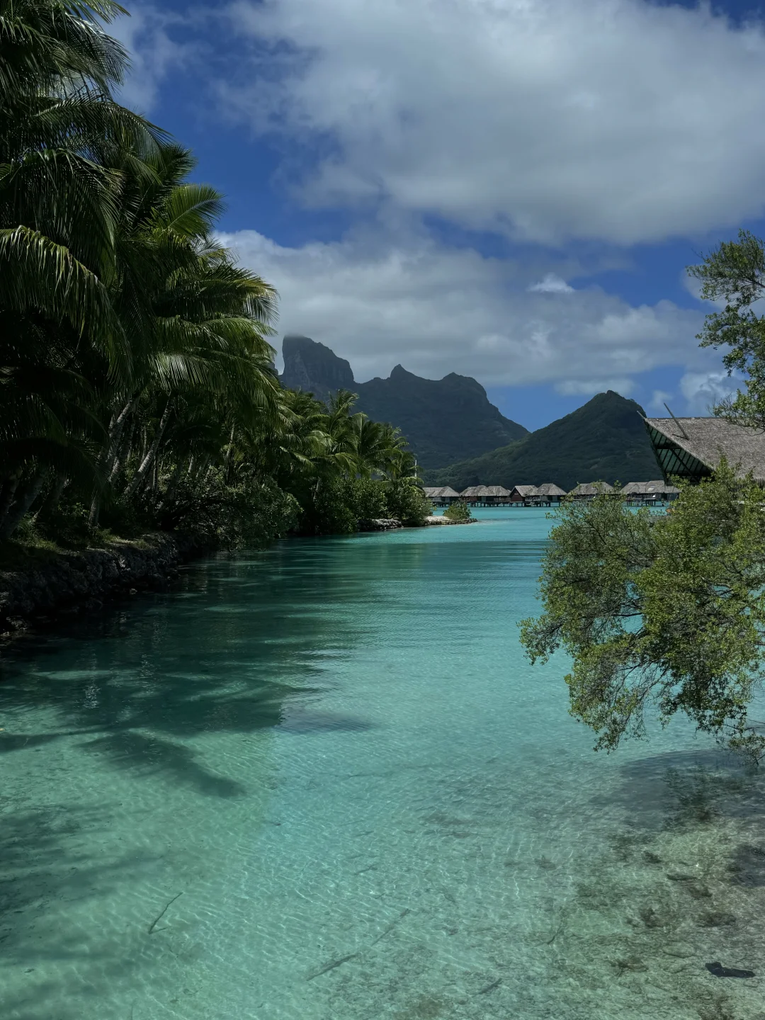 这片海真的让人很上头