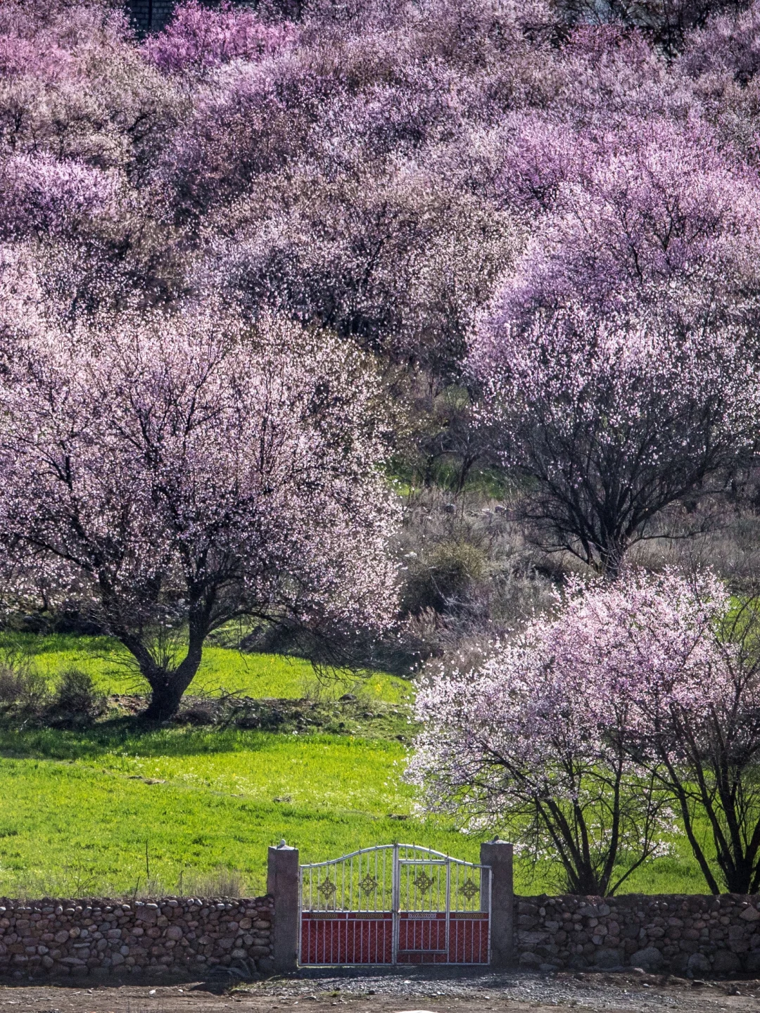 感谢王一博！我很少用震撼来形容一个地方！🧊