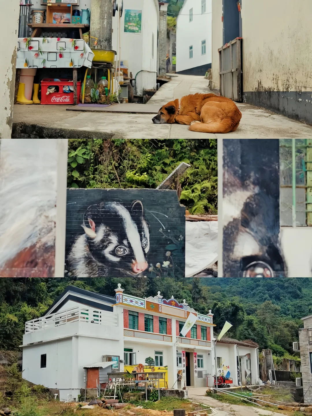 🪐被《孤独星球》评为亚洲Top5的旅游路线