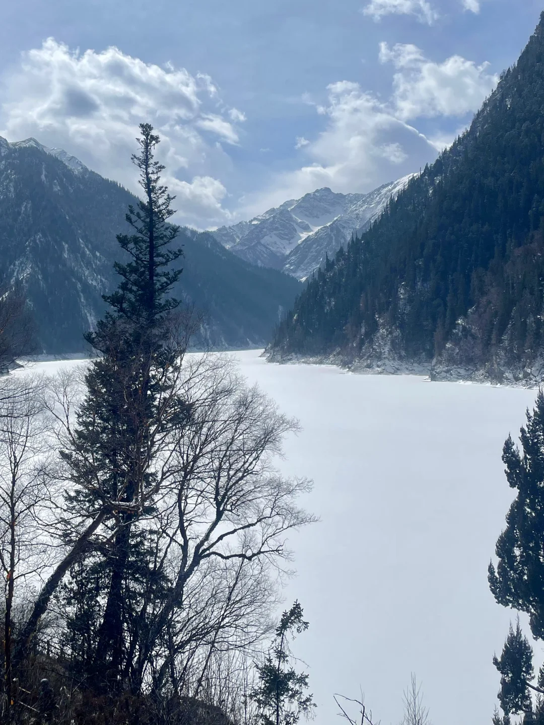 2.17 九寨沟live现状,想去的姐妹慎重。。。😅