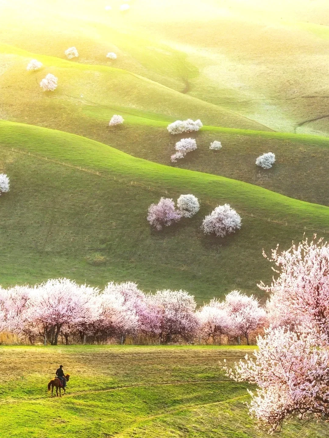 新疆 3- 4月旅游现状😅实话但难听