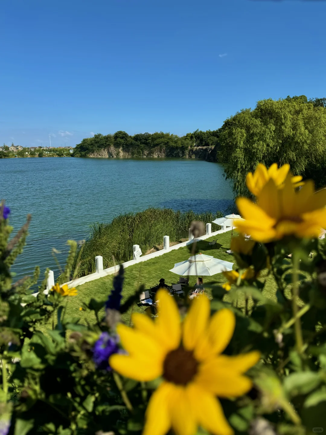 杭州出发 1h直达🌋我发现了现实版塞尔达‼️